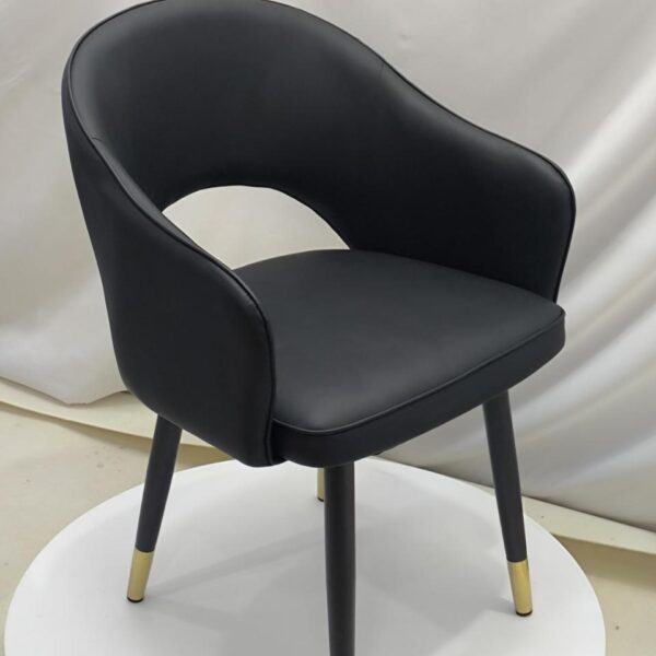 Dining Chair XY-HXY | Carbon Steel, Leather, Sponge - Image 1