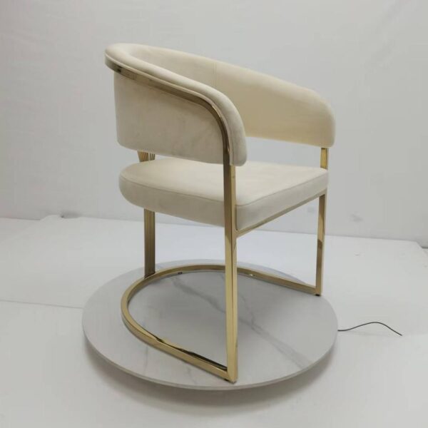 Dining Chair XY-SPGY | Standard Size Stainless Steel - Image 1